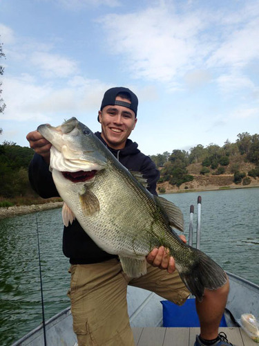 Lake Chabot Fish Report - Castro Valley, CA (Alameda County)