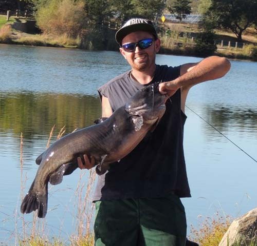 Monster Catfish