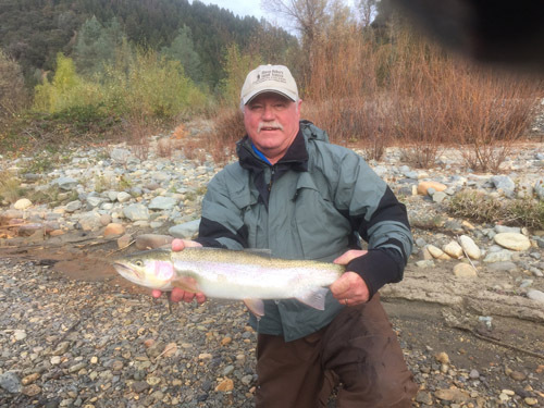 Big rains should entice winter steelhead