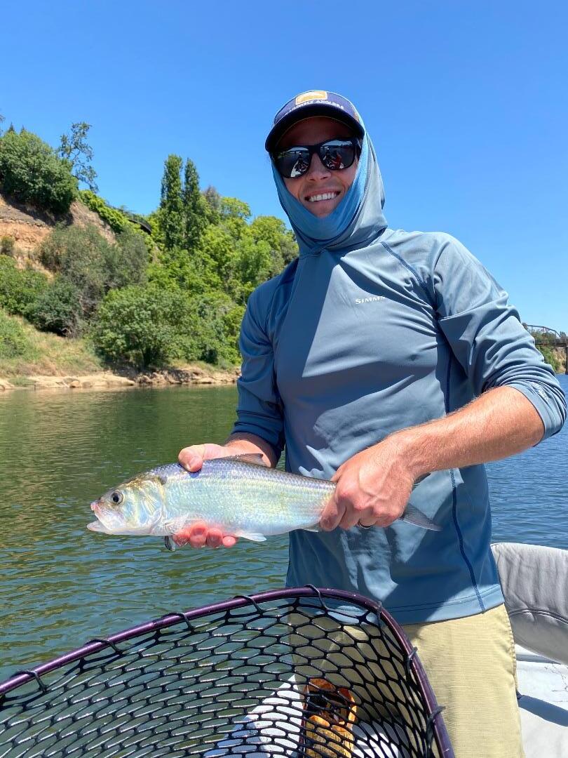 Memorial Weekend Shad!