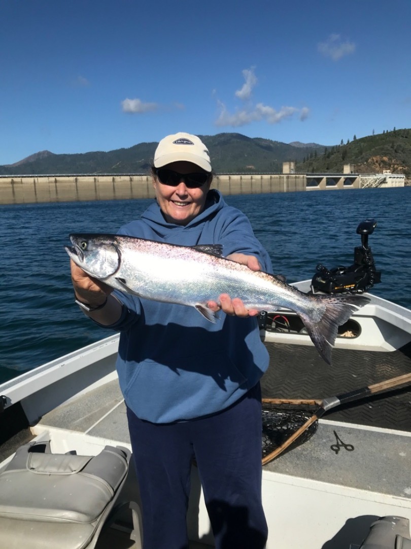 Shasta Lake Big King Salmon and Rainbow Trout 