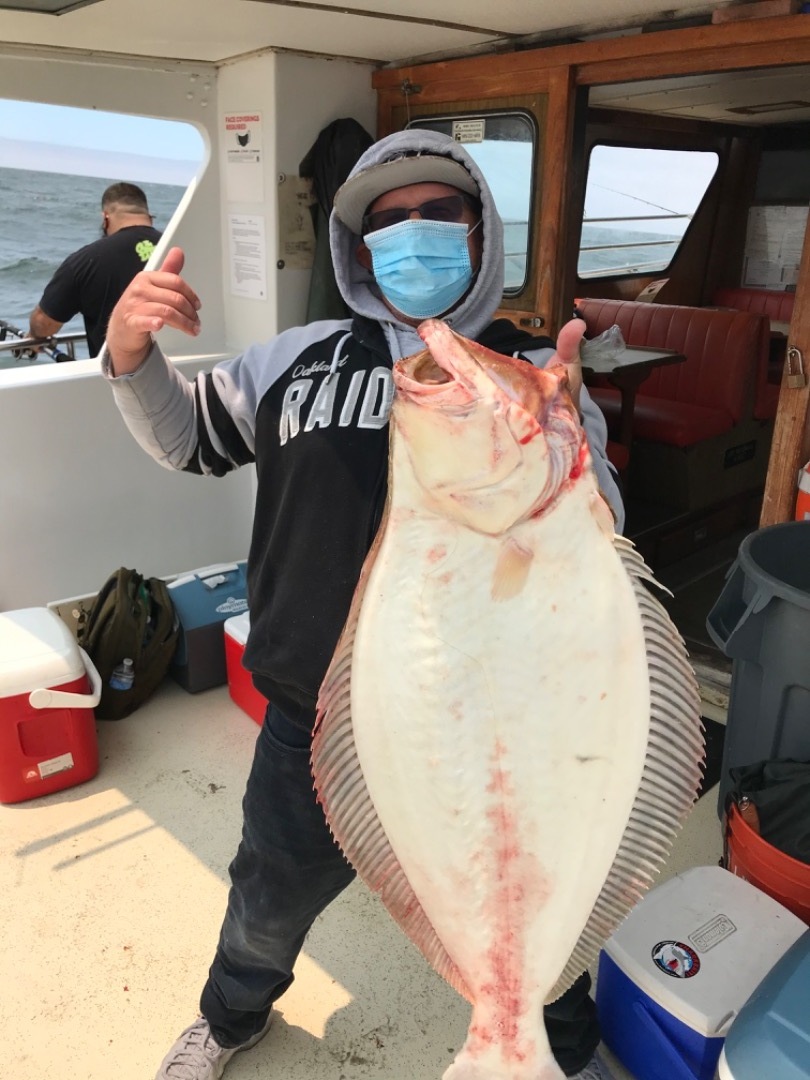 Limits of halibut by 1:30