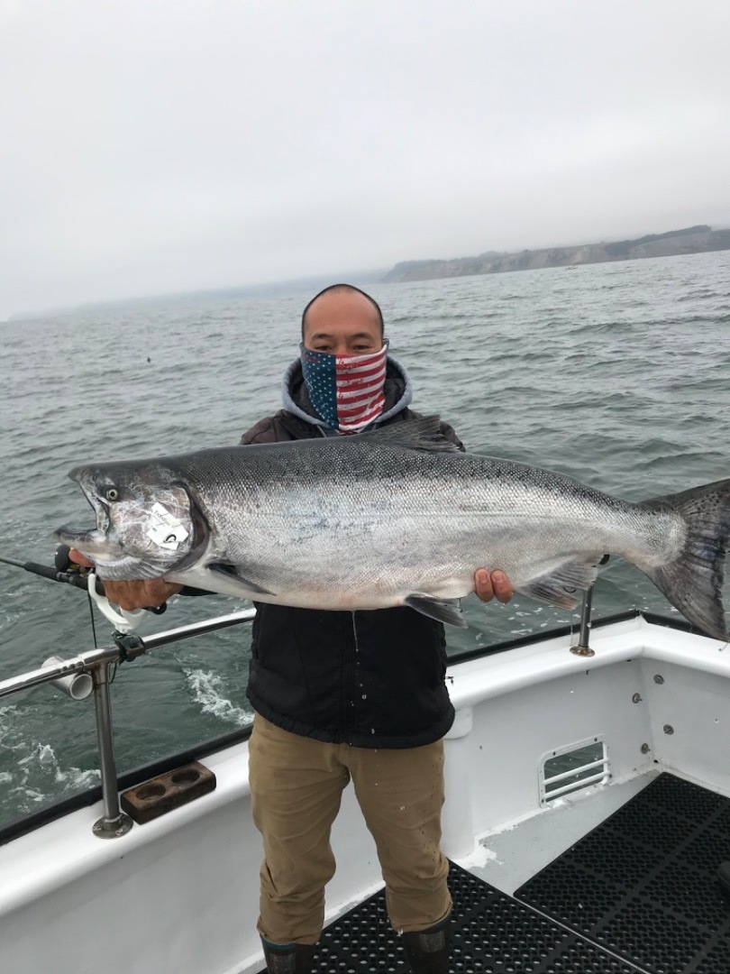 TigerFish Salmon Limits!