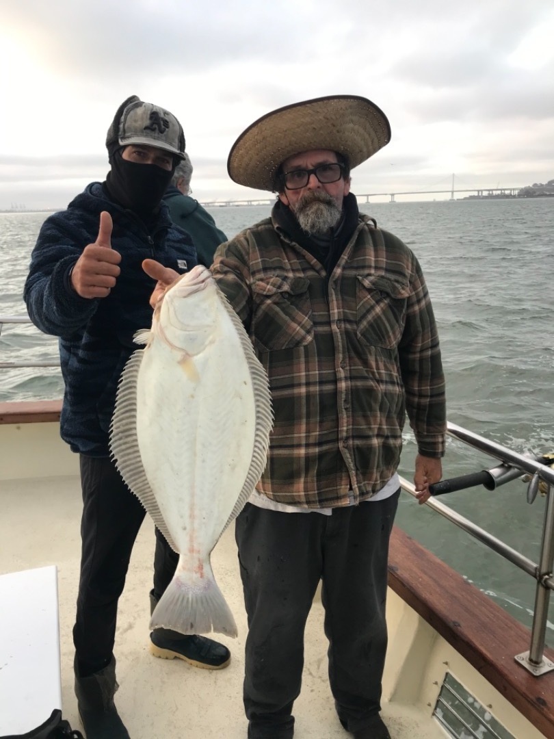 Fun fishing in the bay