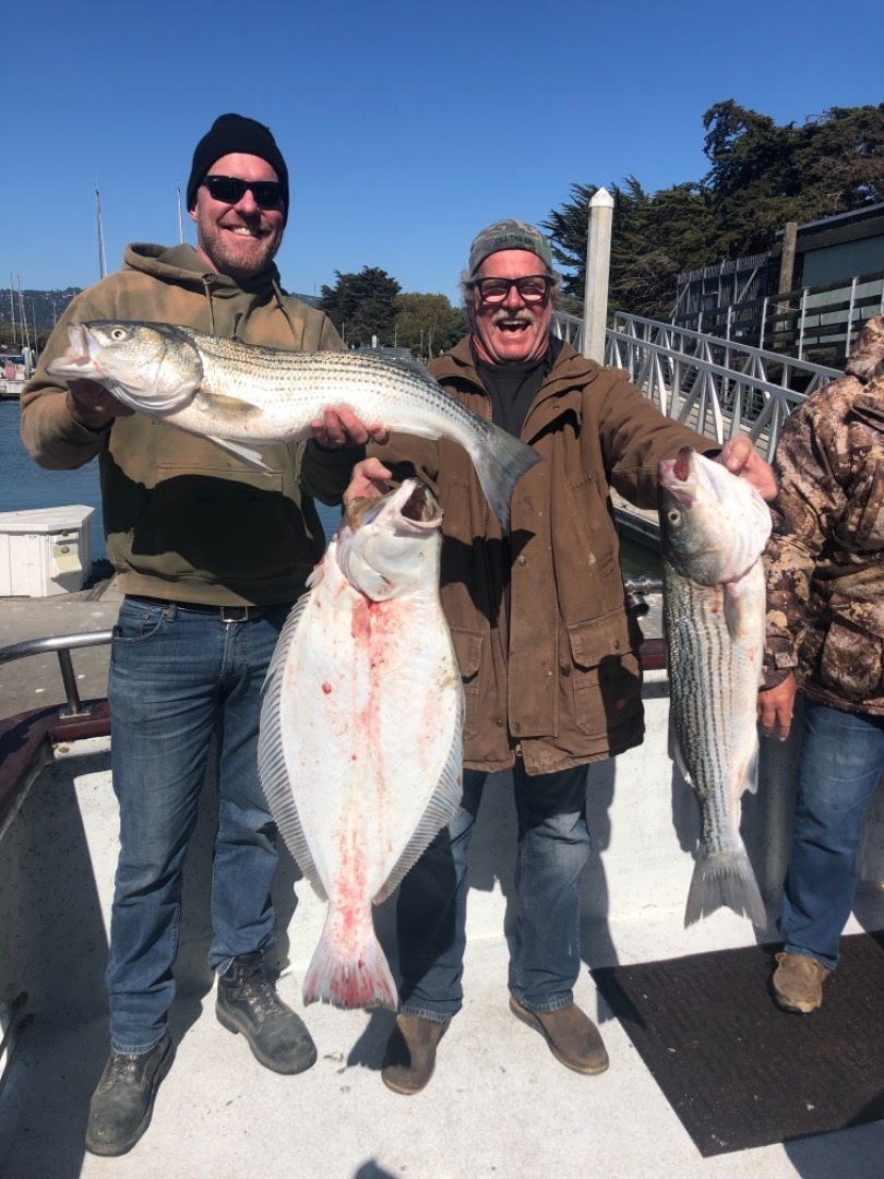 Live bait bass and halibut 