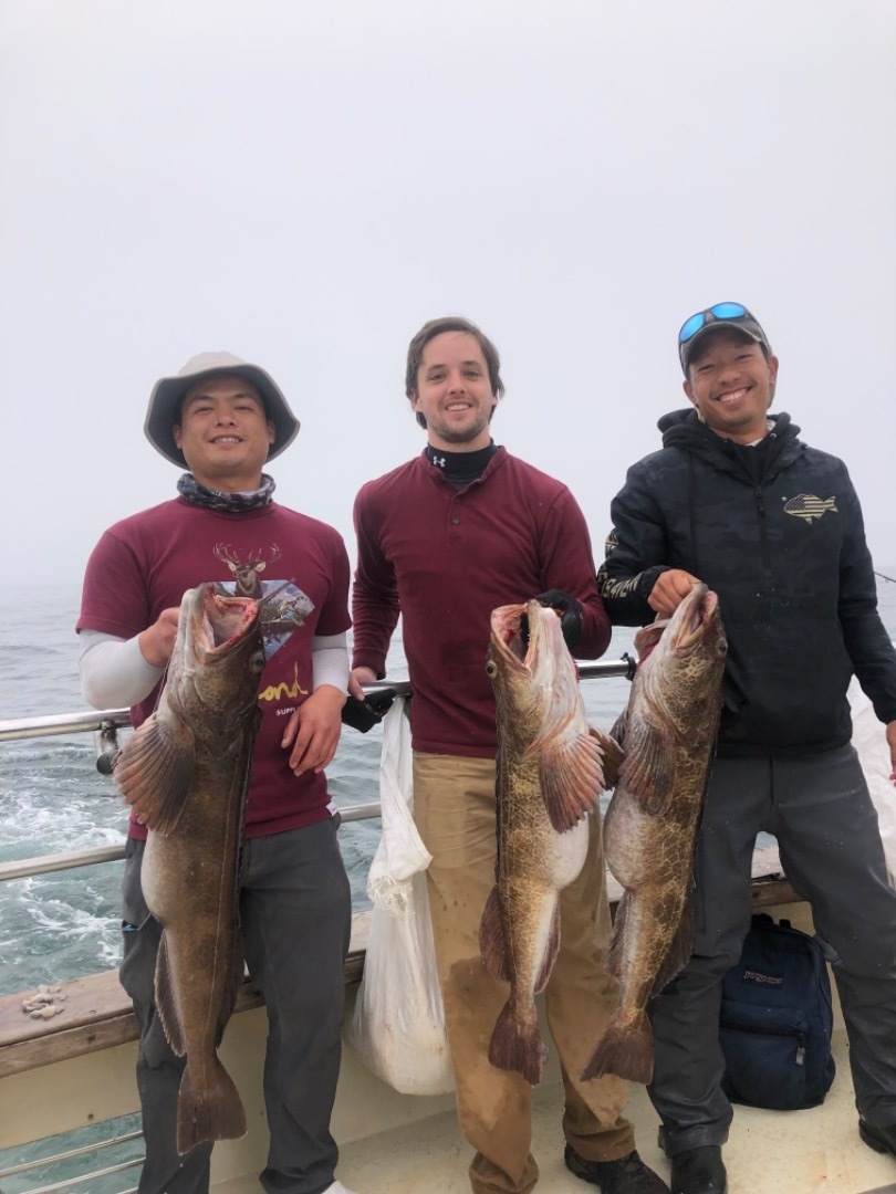 Limits of lingcod and rockfish