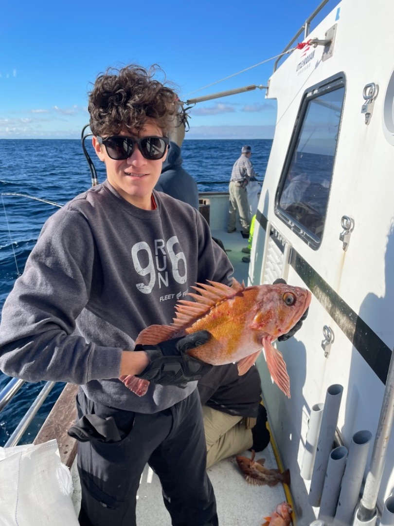 Dungeness crab 🦀 and rockfish 