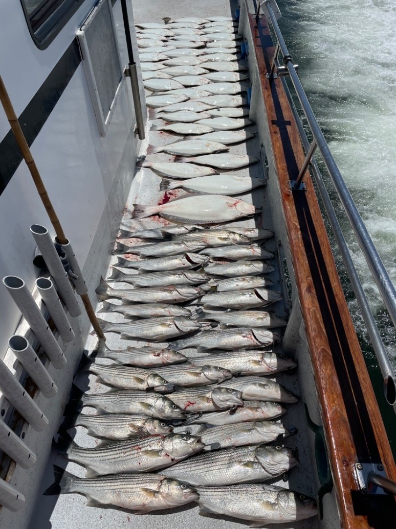 Limits of Halibut and Bass