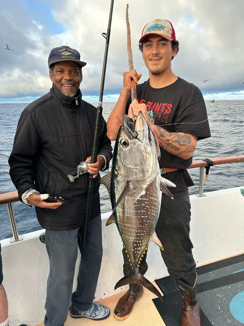 Nighttime Fishing for Bluefin Tuna