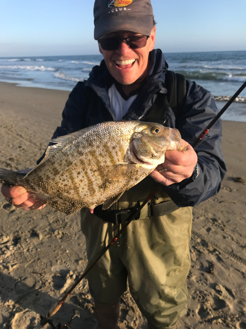Local beaches provide fantastic surfperch opportunities cover picture