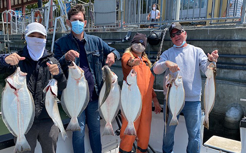 Halibut a Plenty