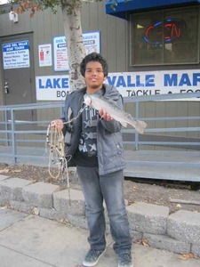 Report Picture