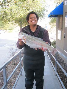 Report Picture