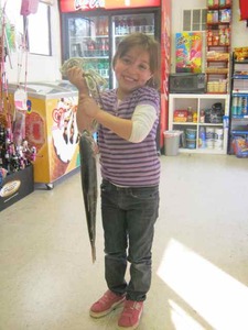Report Picture