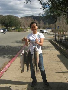 Report Picture