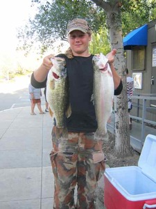Report Picture