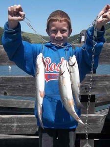 Report Picture