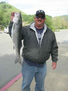 Report Picture