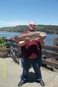 Report Picture