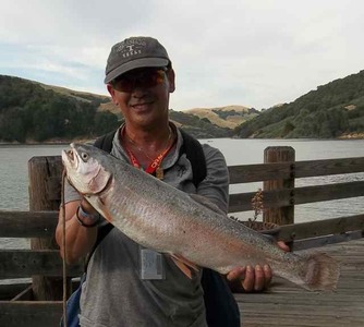 Report Picture