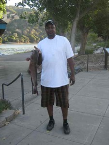Report Picture
