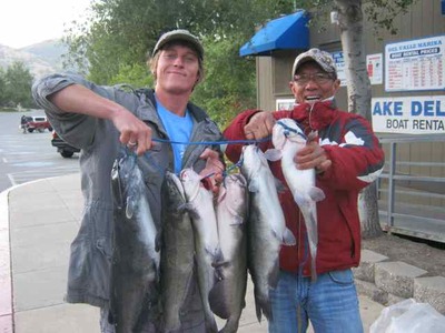 Report Picture