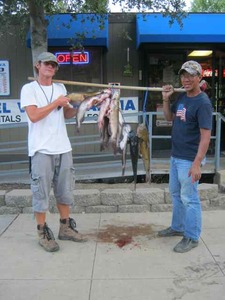 Report Picture