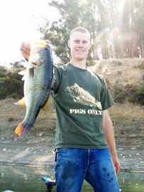 Report Picture