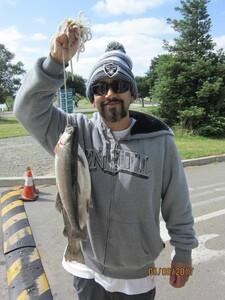 Report Picture