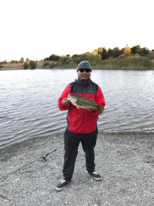 Report Picture