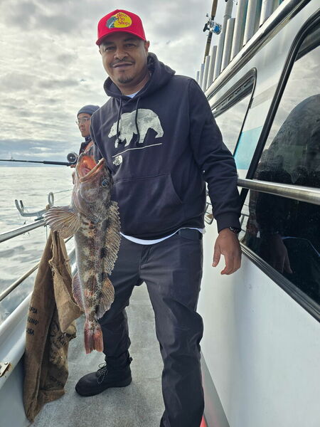 Report Picture