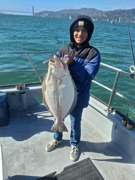 Report Picture
