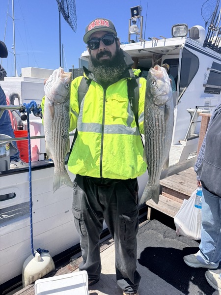 Report Picture