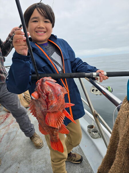 Report Picture