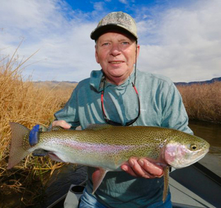 Report Picture