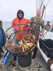 Report Picture