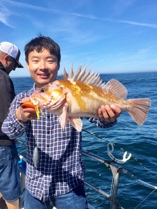 Report Picture