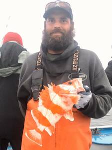 Report Picture