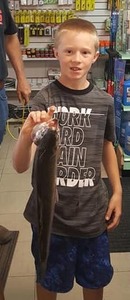 Report Picture
