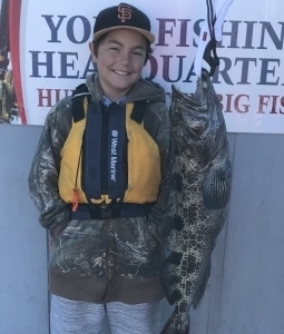 Report Picture