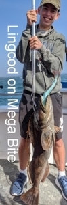 Report Picture