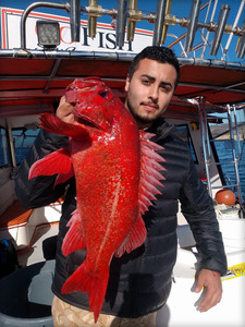Report Picture