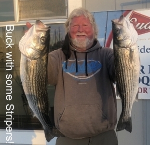 Report Picture