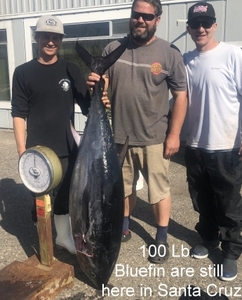 Report Picture