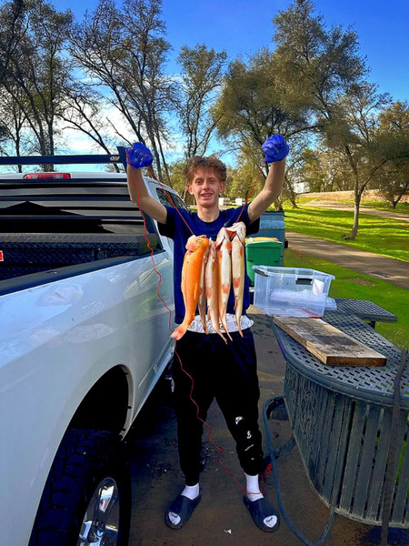 Report Picture