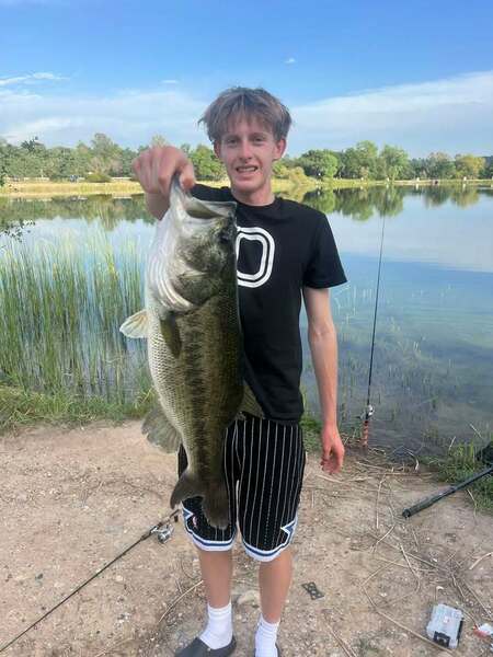 Report Picture