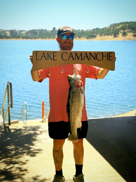 Report Picture