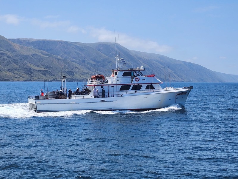 Eldorado