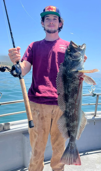 Sea Wolf