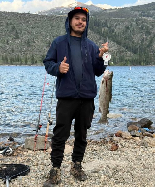 Report Picture